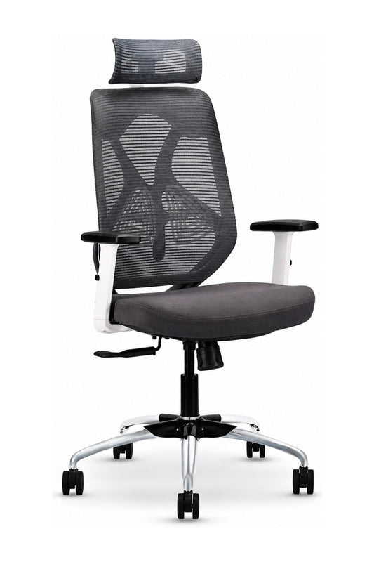 How to choose an office chair - Royalsafeco Ergolux high back mesh chair